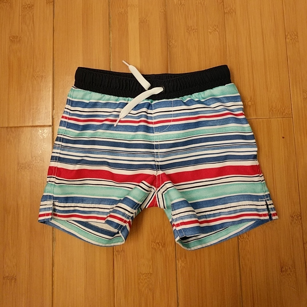 Lands End swim trunks